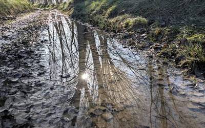 Eusteko moduan dago, momentuz