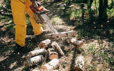 Hamasei langabe arrasatear eta bi taldeburu kontratatuko ditu Udalak