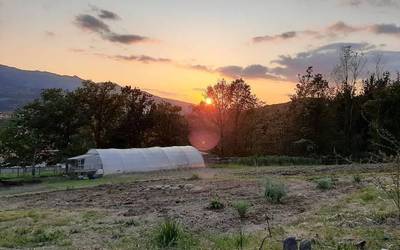 Zizare konposta egiteko ikastaroa Patxikobasoren eskutik