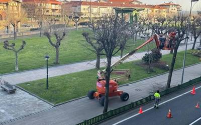 Kimaketa lanak egiten ari dira egunotan