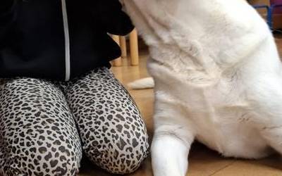 Irakurkide egitasmoa martxa onean, Eva Azpilikueta FETEN jaialdian, Beatriz de la Vegaren aurkezpenak eta Olaztiko liburutegia itxita