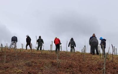 Bertako 500 zuhaitz landatuko dituzte Itziarren, Andutz mendiko lursailetan