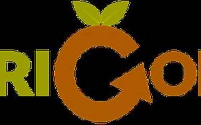 Muskizeko ihesaldia, politika, Josu Zabala Salegi, Agenda eta Errigora kutxaren zozketa