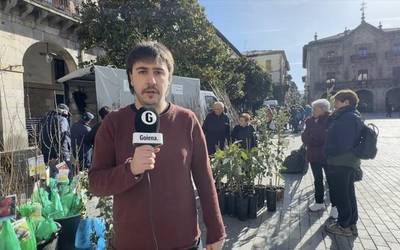 Bailarako aktualitatea jarraitzeko aukera egongo da 'Hemen Debagoiena' magazinean