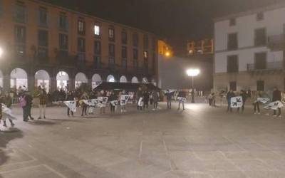 Presoen etxeratze prozesuan datozen hilabeteak "erabakigarriak" izan daitezkeela uste du Sare Herritarrak