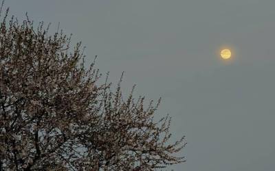 Hauts ganduaz zipriztindutako egunak