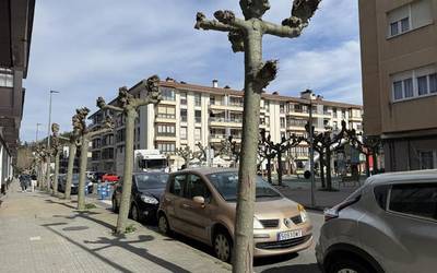 Hainbat zuhaitz birlandatuko dituzte egunotan Aretxabaletako lau gunetan