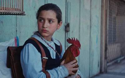 'Ninja a cuadros', 'Los miserables. El origen' eta 'The president's cake' filmak ikusgai Baztartxon