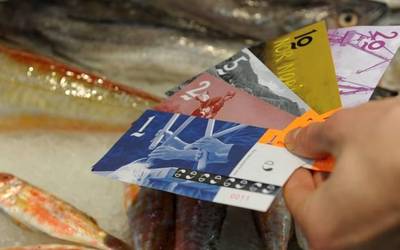 Tokiko moneta garatzeko pausoak Baztanen