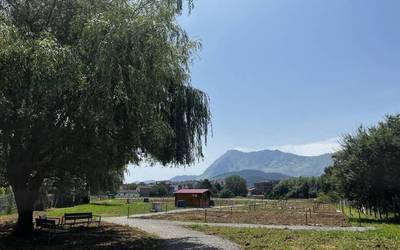 Gaur zabaldu da Abatiñoko ortu publikoetan libre geratu diren eremuak ustiatzeko izena emateko epea