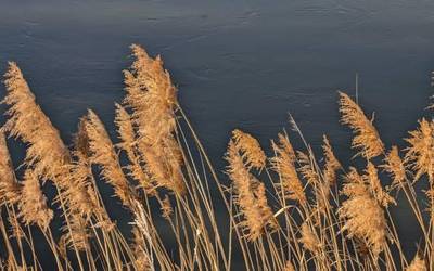 Errealitate gordinera bueltan