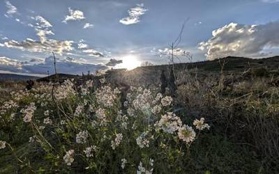 Arratsaldeari zukua atera beharko
