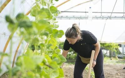 Elikagaien ekoizpenari bultzada emateko bilerak eginen dituzte Zubietan eta Lesakan aste honetan