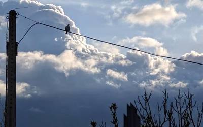 Are gehiago trinkotuko dira