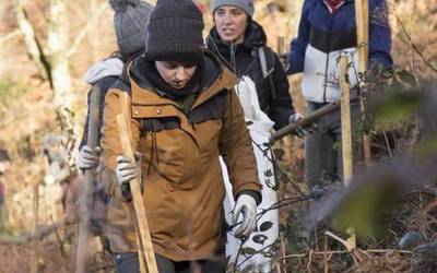 Boluntarioak behar dira martxoaren 14an bidegorriaren gaineko lursailean zuhaitzak sartzeko