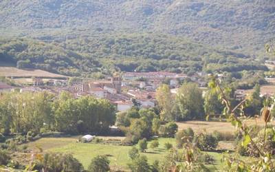 Uharte Arakil, Etxarri Aranaz, Altsasu, Irurtzun eta Urdiaingo udal kontuak