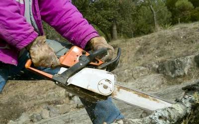 Baztango Udalak aldi baterako bortz lanposturen kontratazio deialdia egin du