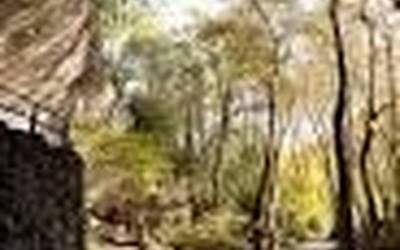 Kobazuloen egunerako egitarau erakargarria Zugarramurdin