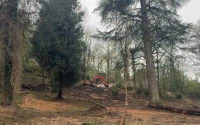 Albistegia: 2026-03-13