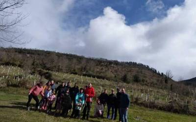 [ARGAZKI GALERIA]: Laixiarren egindako zuhaitz landaketa iruditan