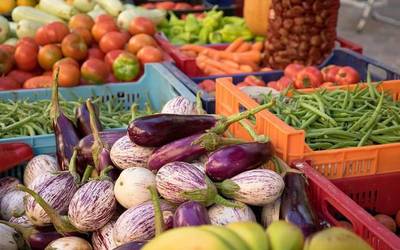 Gure Lurreko Merkatua Sopelako erdigunera lekualdatuko dute