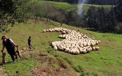 Baserritar Misto Profesionala programa ezagutarazteko informazio saioa egingo dute gaur Elgoibarren