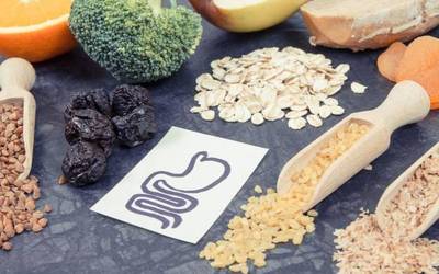 Topaketa mediko-gastronomikoa egingo dute Elgoibarren, koloneko minbiziari aurre egiteko