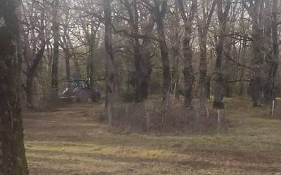 Teileriko zabala sasiz garbi