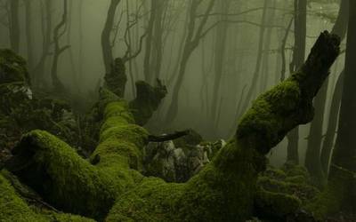 "Basografia" hitzaldiarekin hasiko dute Gure Natura Ezagutzen ekimena ostegunean