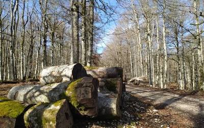 Aralarko Elkartearen egun loteak eska daitezke