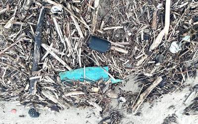 "Plastidecor"