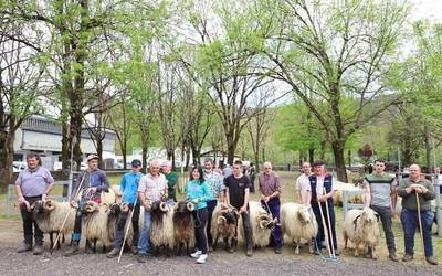 Apirilaren 10ean Udaberriko Feria izanen da Elizondon