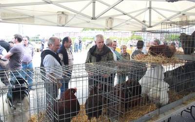 Bihar amaituko da Asentzio Ferian postua jartzeko izena emateko epea