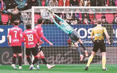 Sugarrak bizirik dirau