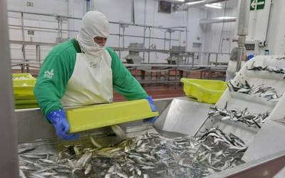Kofradia Basque Seafood sortu dute arraina merkatuaren eskaera berrietara egokitzeko
