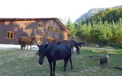 Udalekuak antolatu dituzte aurten Pottokalekun ere