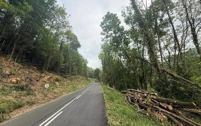 Azkaraterako errepide bazterreko zuhaitz mozketarekin kezkatuta