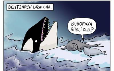 Bizitzaren luzapena