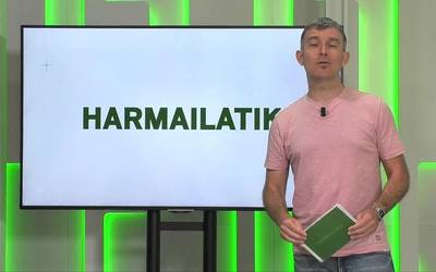 'Harmailatik': Mondrate mailaz igo da; Aloñaren eta UDAren arteko derbia; Herri Artekoa hasi dute Aretxabaletan