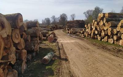 Baso aprobetxamendua, udaberriko azoka, auto istripua, Global Sumud Flotilla eta Ikastolen biharko kontzentrazioak