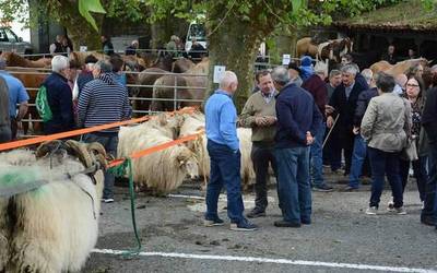 Maiatzaren 8an Udaberriko feria Donezteben