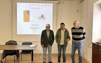 Goi tentsioko linea berriari Mallabitik igarotzeko baimena ukatu diote