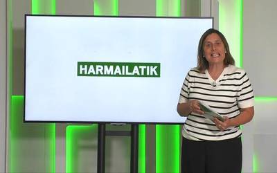 'Harmailatik': Bergarak irabazi Herriartekoan; eskubaloiaren bueltako eguna Arrasaten; eta kadete mailako txirrindularitza probak