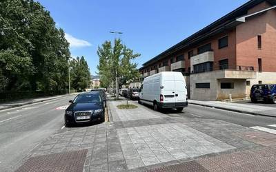 Zumar kaleko arbolak aldatuko dituzte Durangon
