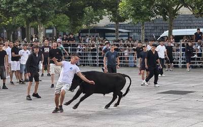 Zezenak Eibarko Untzaga plazan