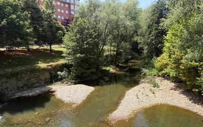 78 urteko gizon baten gorpua aurkitu dute Iurretako Ibaizabal errekan
