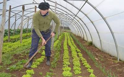 Arantzako Etxeberriko bordako baratzean sar atera