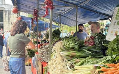 Bergarako Udalak San Martin azokako postuak eta odoloste txosna esleitzeko deialdia ireki du