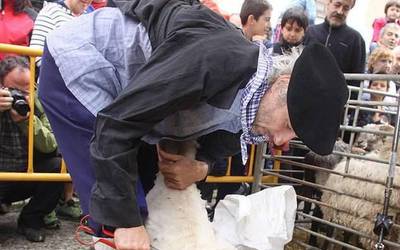 "Belarra berriz ateratzeko euri asko-asko egin beharko luke urteko egun luze hauetan"