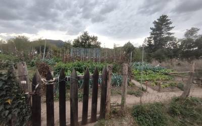 Udalak datorren eguenerako bilera deitu du ortu komunitarioen proiektua diseinatzeko